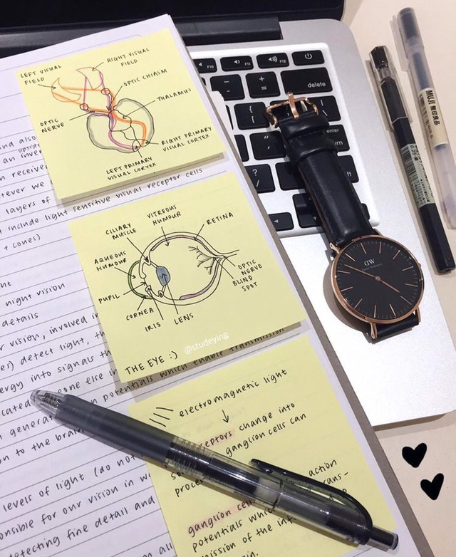 공부 자극 jpg | 인스티즈