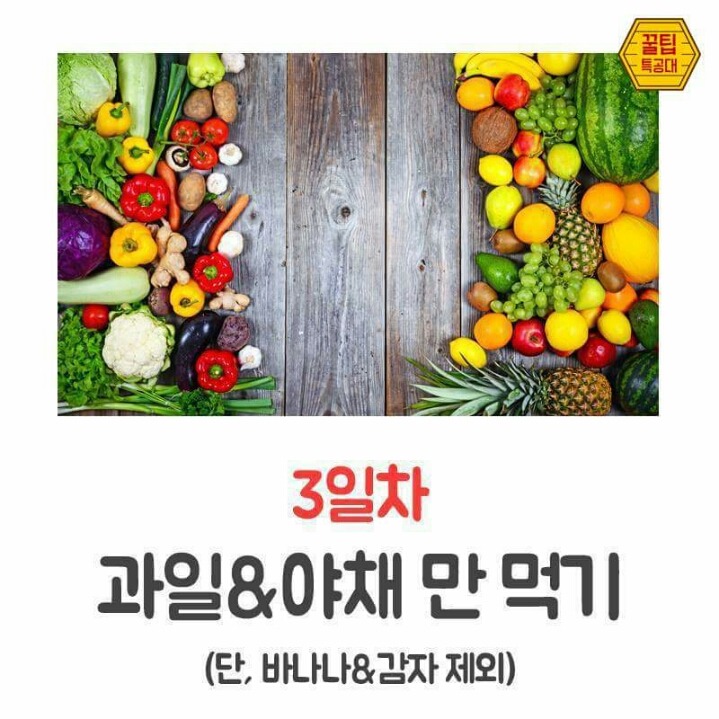 7Days 7kg GM 다이어트 | 인스티즈