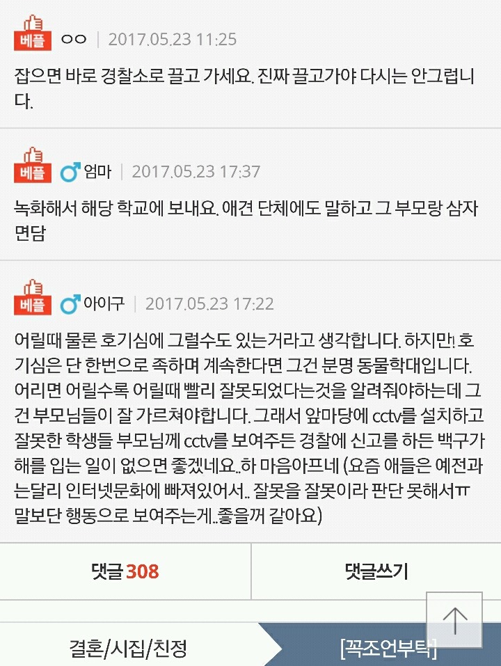 초딩들이 우리집 개를 괴롭혀요 | 인스티즈