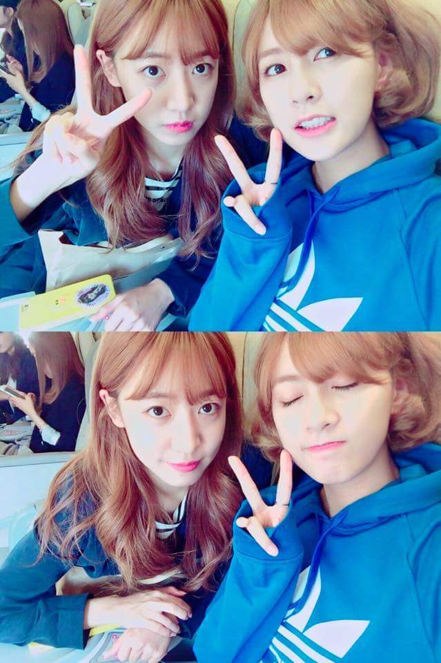 에이핑크 막내라인 | 인스티즈