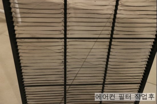그린케어월드주 이미지