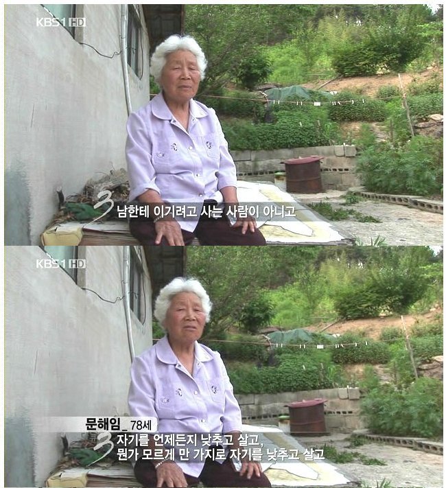 노무현에 대한 한 노인의 생각 | 인스티즈