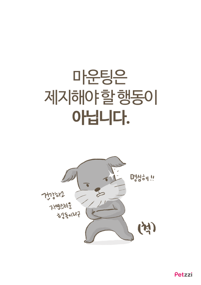 강아지 붕가붕가.jpg | 인스티즈