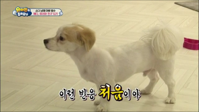 이범수가 동물을 대하는 방식.jpg | 인스티즈