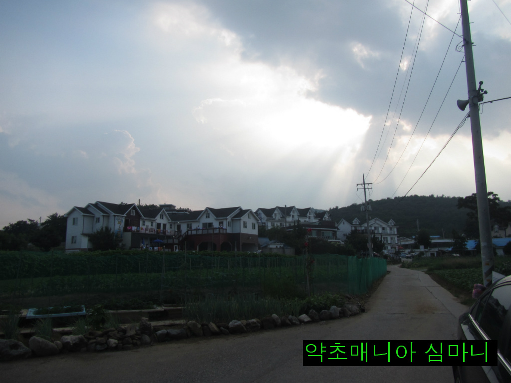 맵시분식 이미지
