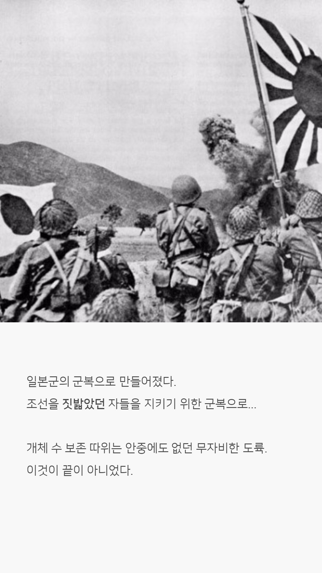 우리나라 한우는 왜 황색일까?jpg | 인스티즈