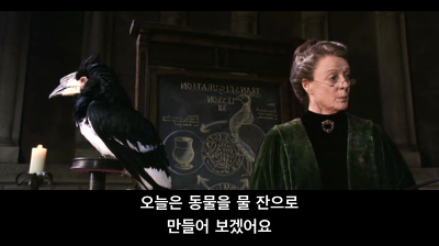 명문학교가 맞는지 매우 의심스러운 호그와트2 (일부터 십까지 다 ㅅㅍㅈㅇ) | 인스티즈