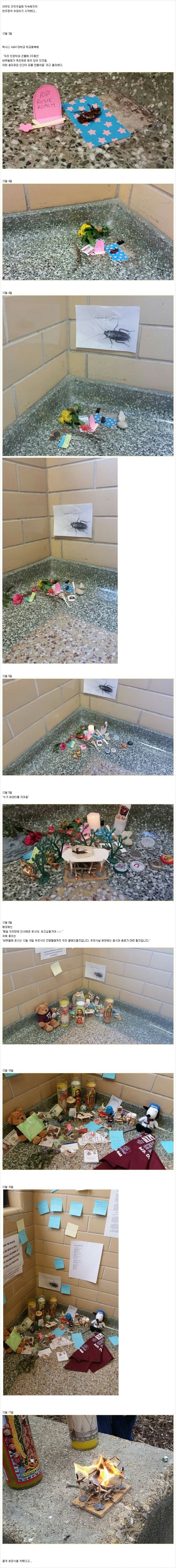 몇 주 동안 죽은 바퀴벌레가 학교에 있었는데.. | 인스티즈