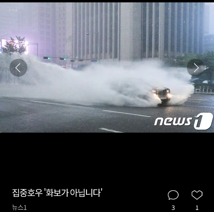 침수된 차량 위에 올라간 고양이 | 인스티즈