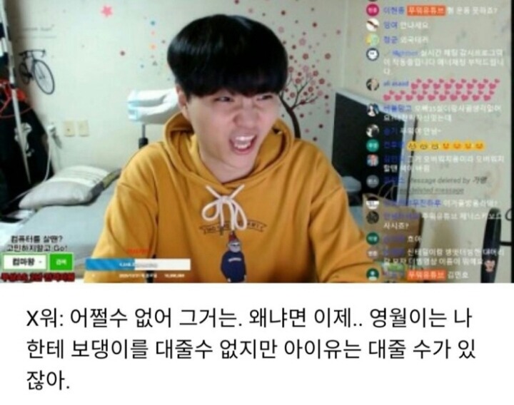 아이유가 고소한 BJ 발언.jpg | 인스티즈
