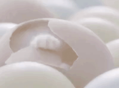 쥬라기 냥월드 | 인스티즈