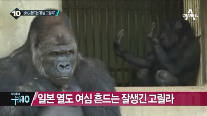 이젠 하다하다 | 인스티즈
