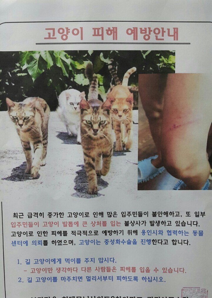 냥아치 포스 | 인스티즈
