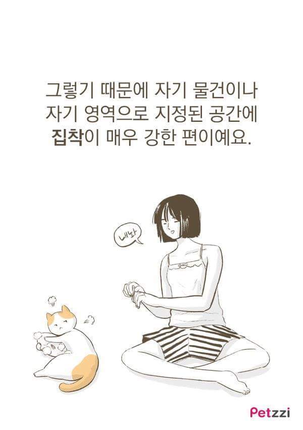 고양이가 화장실 앞에서 기다리고있는 이유(만화).jpg | 인스티즈