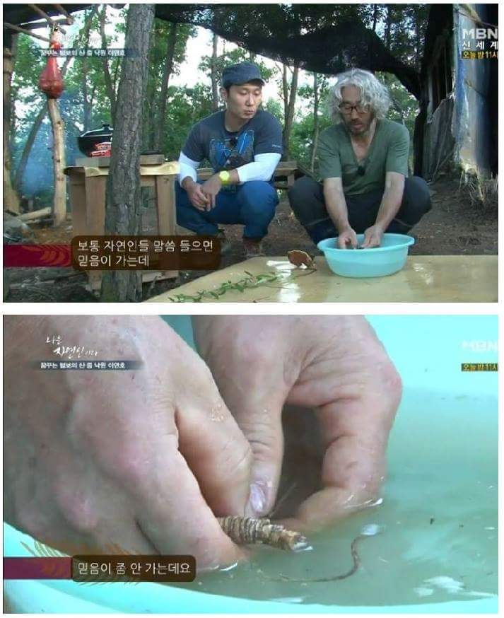 급섭외한것같은 자연인 ㅋㅋㅋㅋㅋㅋㅋ.jpg | 인스티즈
