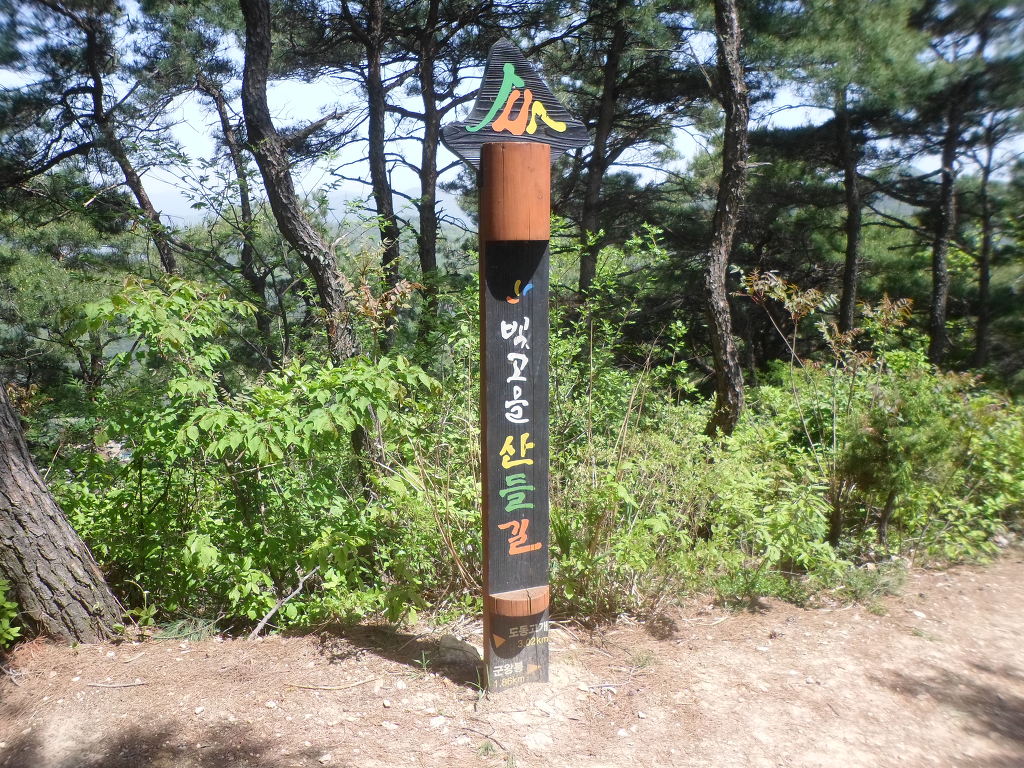 빛고을주유소 이미지