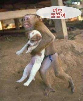 내가 다 먹어 버리겠다~ | 인스티즈