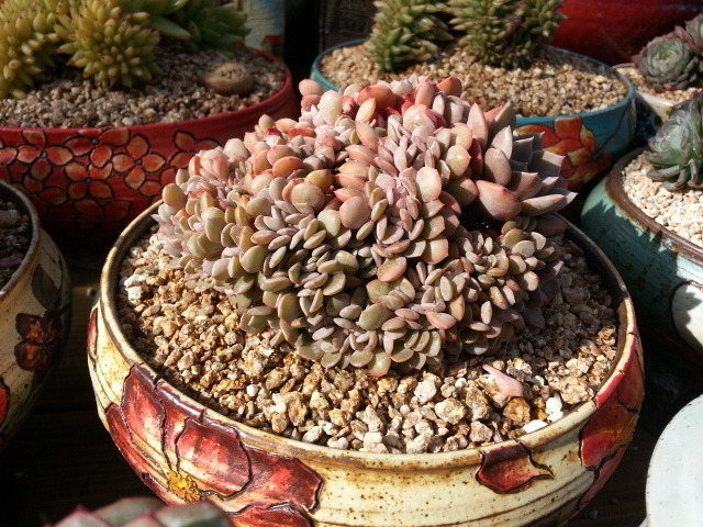 서리빛 이미지