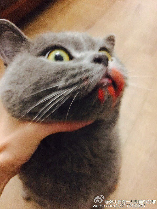 아씨 이거 누가그랬냐!! | 인스티즈