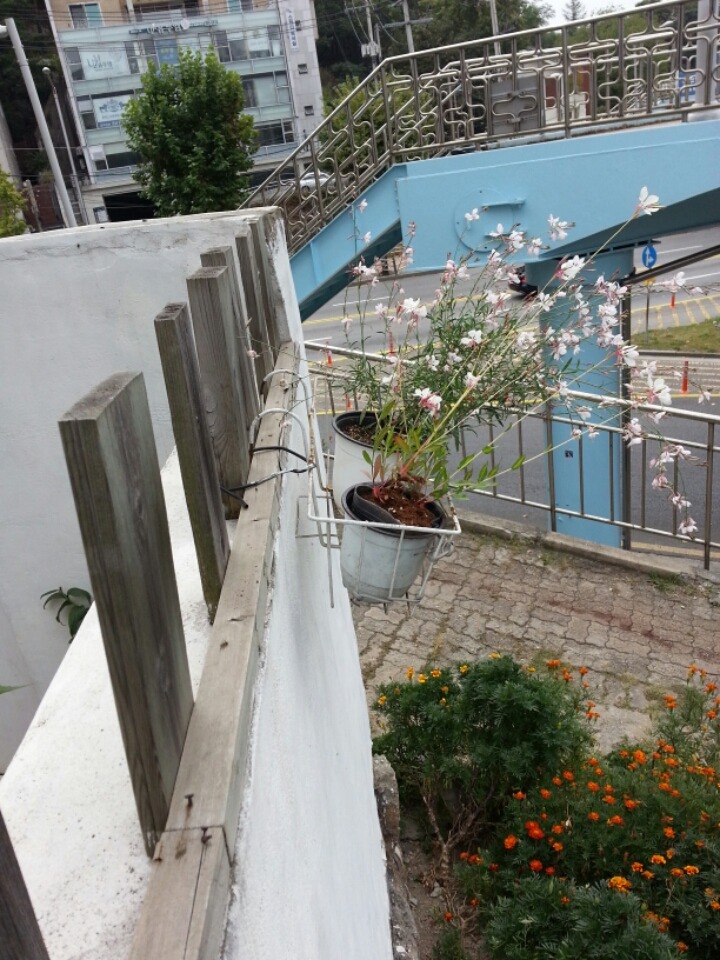 정원인테리어 이미지