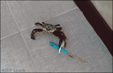 간장 치워 이 !.gif | 인스티즈
