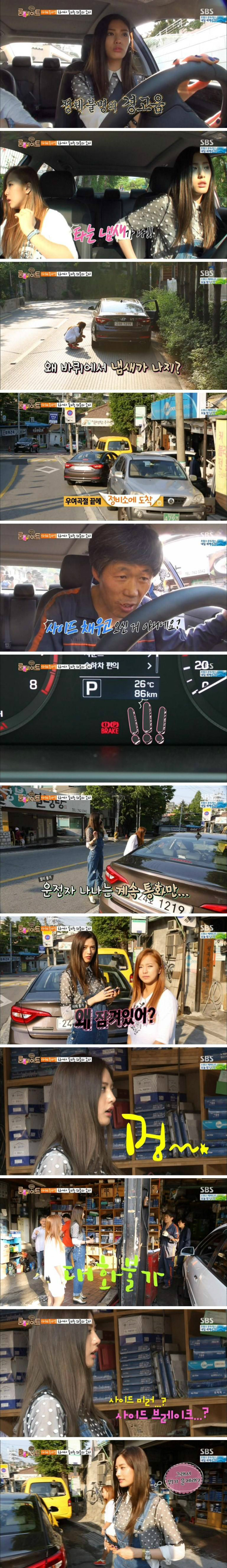 정체불명의 경고음에 놀란 나나 | 인스티즈