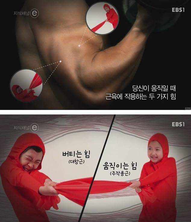 우리의 근육이 바쁜 이유 | 인스티즈