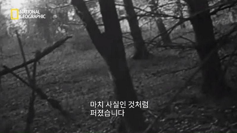 1999년, 새로운 장르의 공포영화가 인터넷을 통해 홍보되다 | 인스티즈