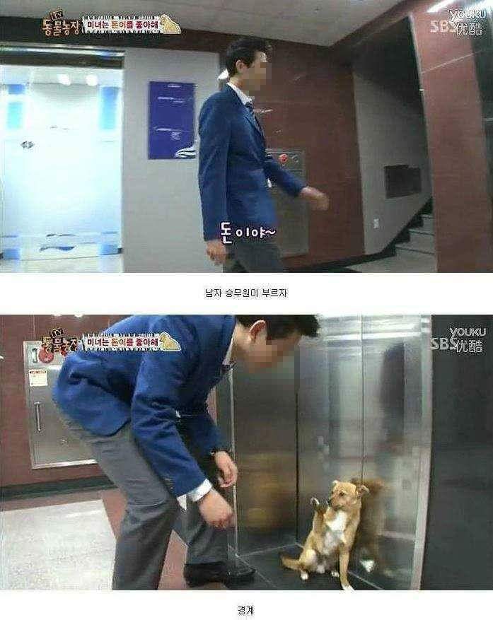 얘 개가 아닐지도 몰라 | 인스티즈