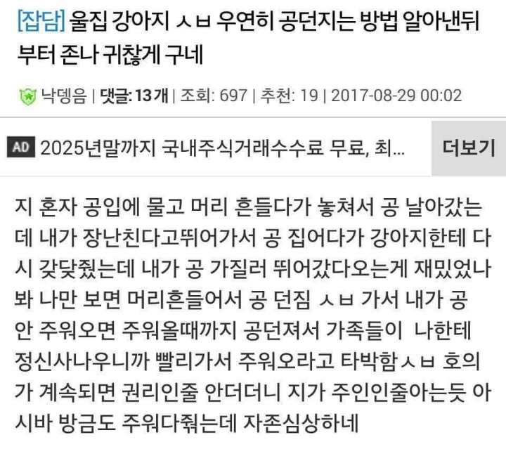 울집강아지가 나 조련하기 시작함 ㅅㅂ.jpg | 인스티즈