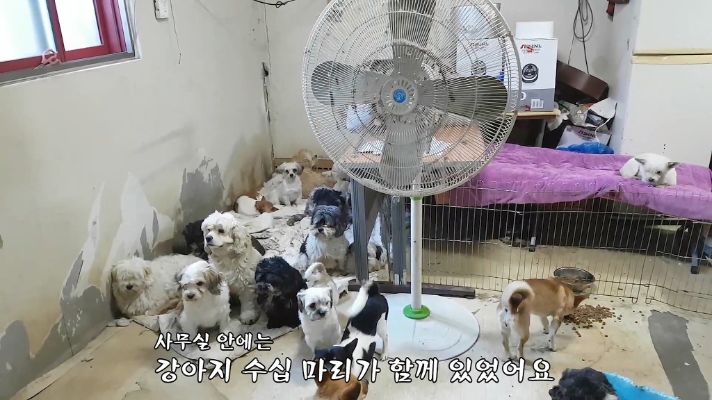 엔젤모텔 이미지
