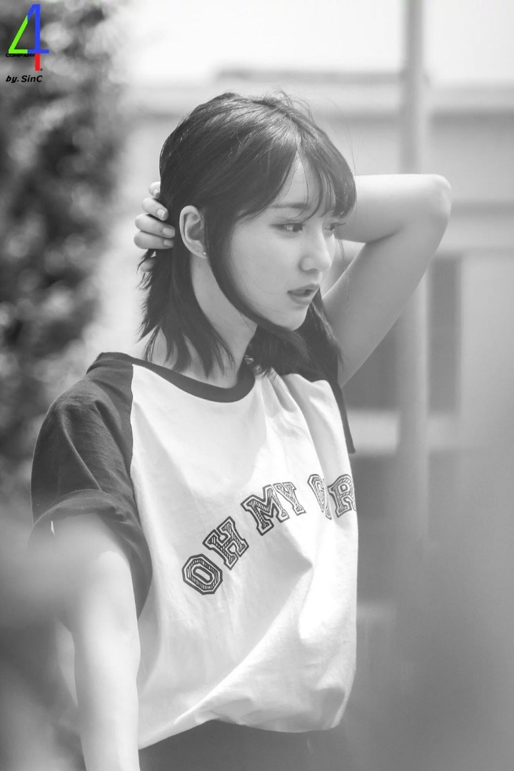 데이비니 이미지