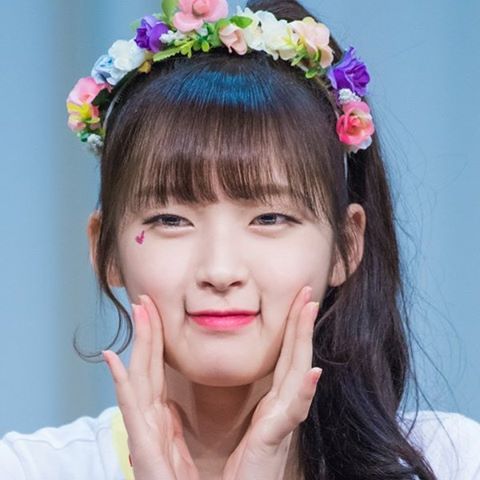 걸그룹 오마이걸의 실태.JPG | 인스티즈