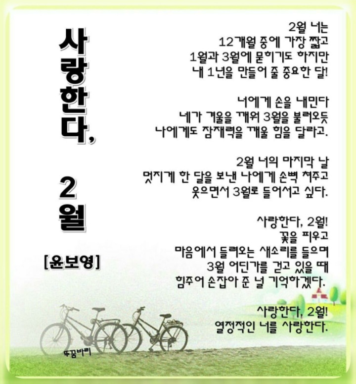 바디스 이미지