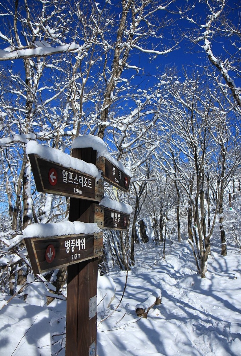 동영관광(주) 이미지