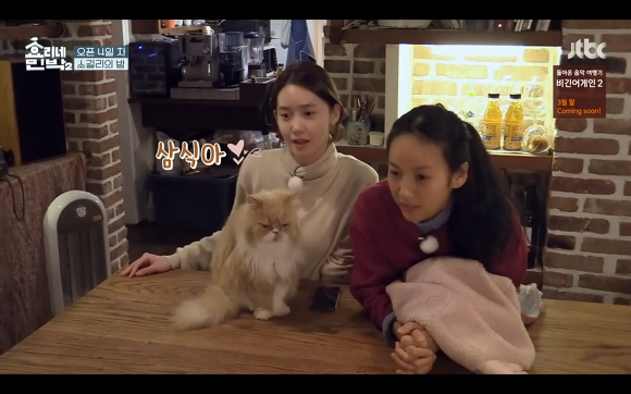 [효리네민박] 윤아와 눈인사 잘해주는 고양이 삼식이ㅠㅠ.gif | 인스티즈