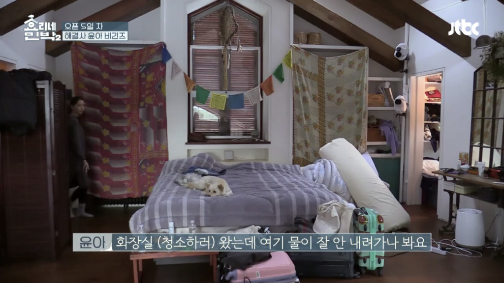 [효리네민박2] 뚫어뻥 없이 변기 뚫는 알바생 윤아 | 인스티즈