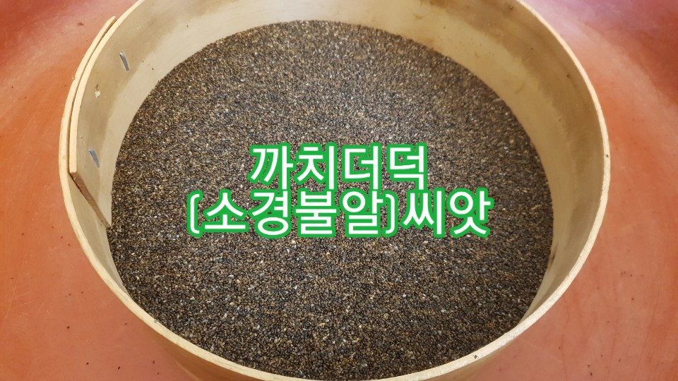 까치수퍼 이미지