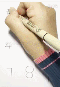 숫자에 동물그리기.gif | 인스티즈