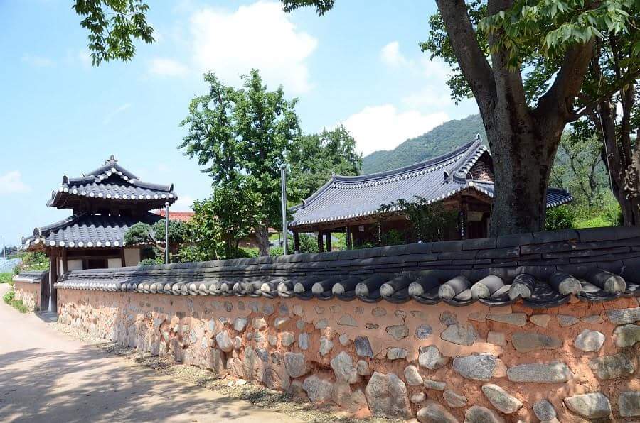 홍탁마을 이미지