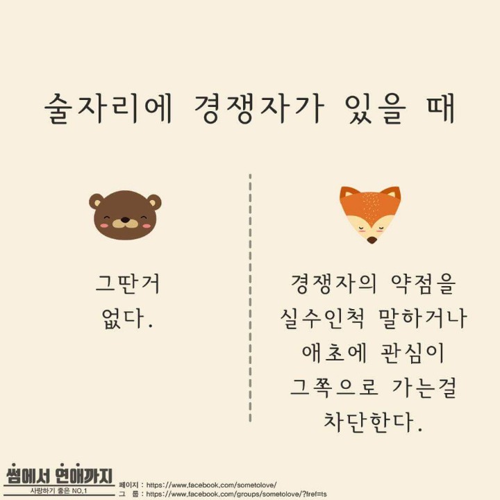 술자리에서 곰과 여우 구분하는법 | 인스티즈