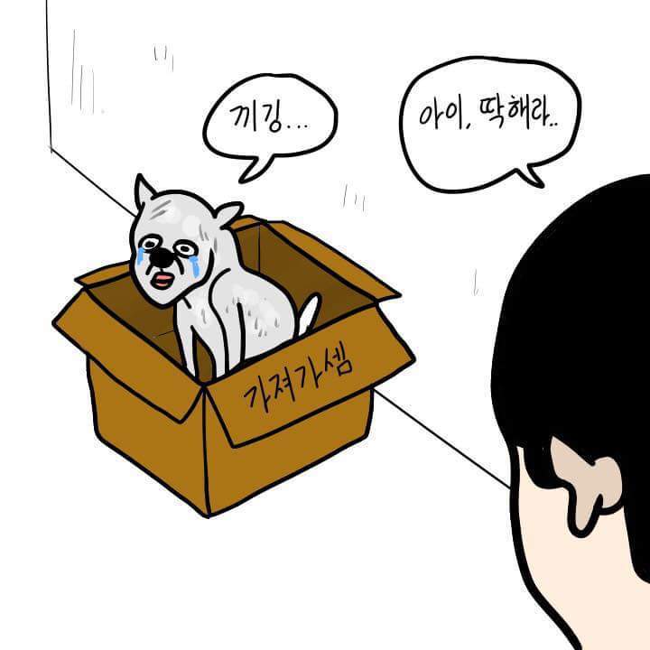 강아지 주워왔는데 엄마가...... | 인스티즈