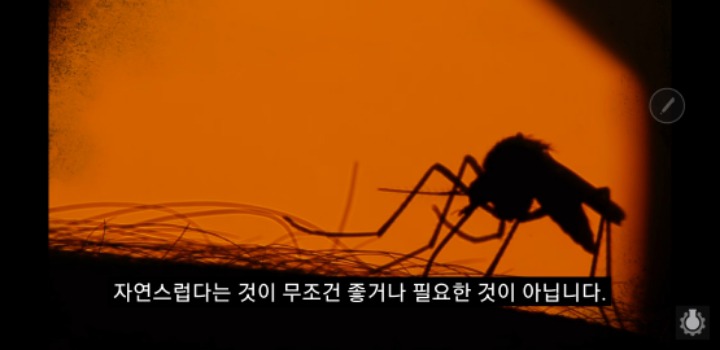 죽음이 정말 삶을 가치있게 하는 것일까? | 인스티즈