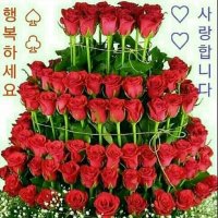꽃 이미지