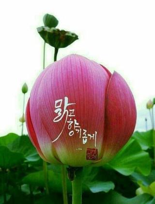 이뭐꼬 이미지