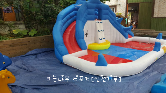 동산스포츠 이미지