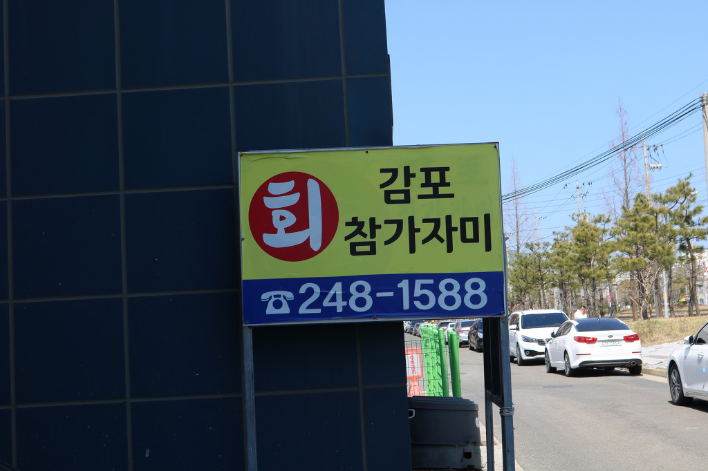 감포참가자미 이미지