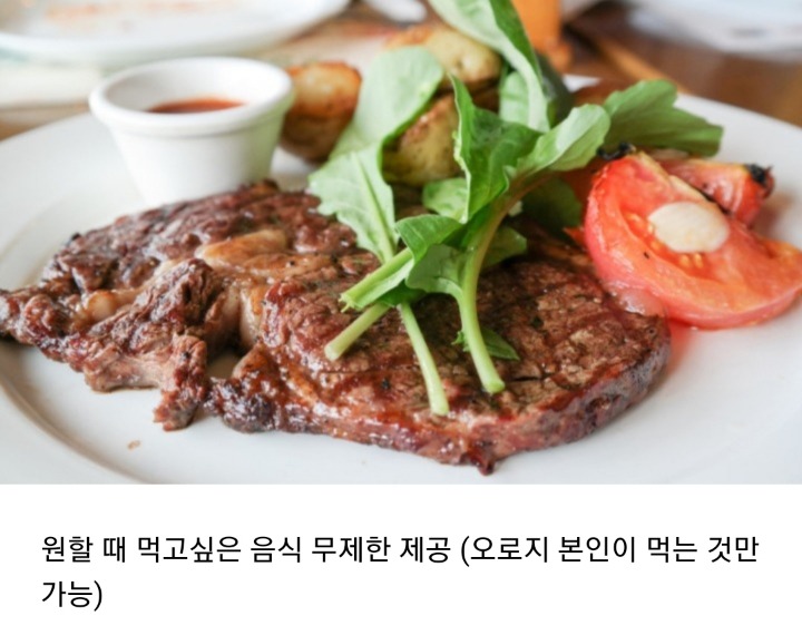 2020년부터 인간의 3대 욕구 중 한가지 능력이 주어진다면?? | 인스티즈