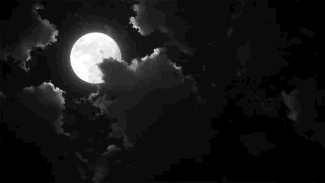 한번 추락했었던 연예인들의 심정을 말해주는듯한 노래의 가사.gif | 인스티즈