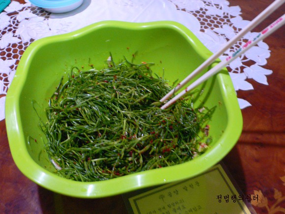 은달래 이미지